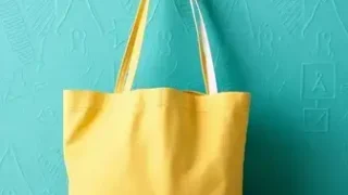 Bolsa Família e Tarifa Social