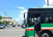 onibus gratis