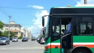 onibus gratis